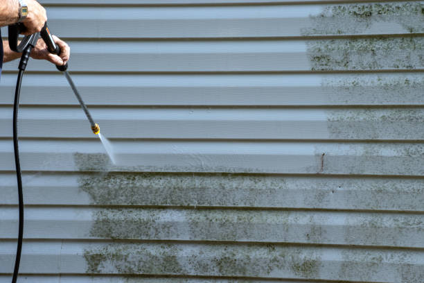Best Basement Cleanout  in Pisgah, AL